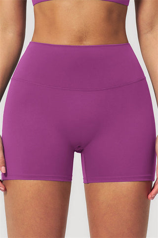 The Venus Sports Bra Shorts 2-Piece Set