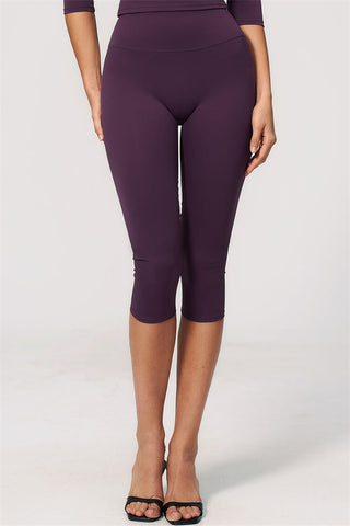 The Natalia Half-Sleeve Top Capri Leggings 2-Piece Set