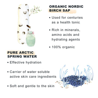 Lumene Nordic Hydra Arctic Agua Cleansing Foam - Gentle Facial Cleanser for All Skin Types with Arctic Spring Water - Glamourous Grace