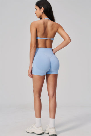 The Horizon Sports Bra Shorts 2-Piece Set