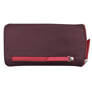 Eyeglass Case with Eyeglass Design
