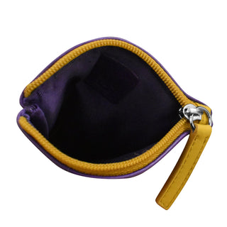 Eyeglass Case with Eyeglass Design