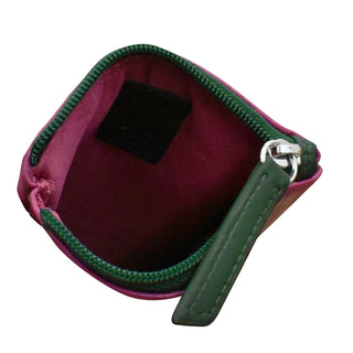 Eyeglass Case with Eyeglass Design