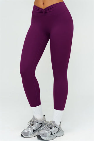 The Lushness Long Sleeve Crop top Leggings 2-Piece Set
