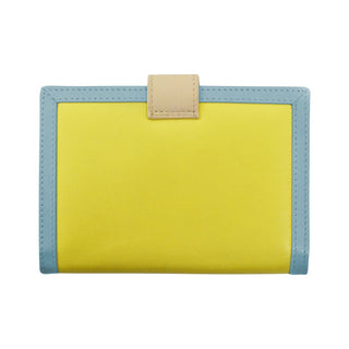 MULTI COLOR PASSPORT WALLET