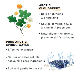 Lumene Nordic-C Vitamin C Moisturizing Cream with SPF30 - Brightening, Anti-Spot, Hydrating Skincare Product - Glamourous Grace