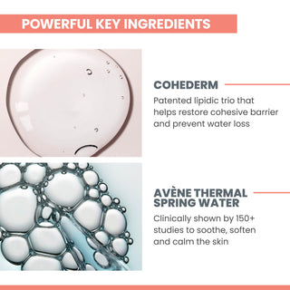 Avene Hydrance Hydrating Cream Rich - Moisturizing Cream for Dry Skin, Soothes and Hydrates, 1.35 fl oz - Glamourous Grace