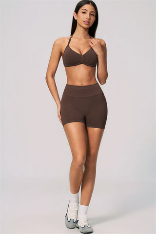 The Velvetine Sports Bra Shorts 2-Piece Set