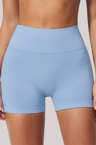 The Horizon Sports Bra Shorts 2-Piece Set