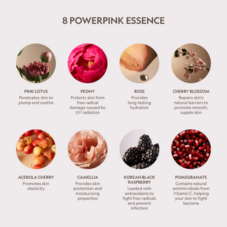 Pink Lotus Peptide Renewal Face Cream