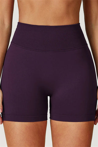 The Elara Sports Bra Shorts 2-Piece Set
