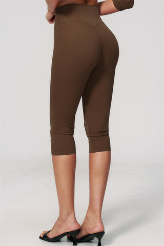 The Natalia Half-Sleeve Top Capri Leggings 2-Piece Set