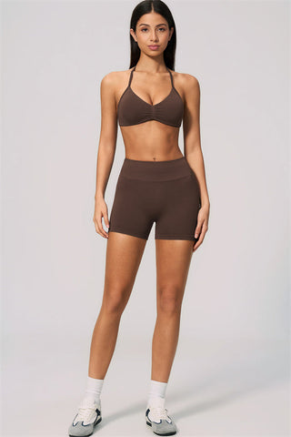The Velvetine Sports Bra Shorts 2-Piece Set