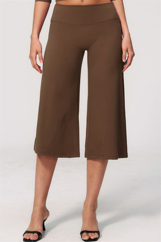The Natalia Half-Sleeve Top Wide-Leg Crop 2-Piece Set