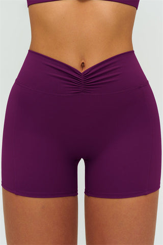 The Lushness Y-Back Sports Bra Shorts 2-Piece Set