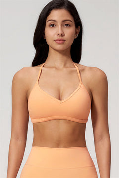The Nexus Sports Bra