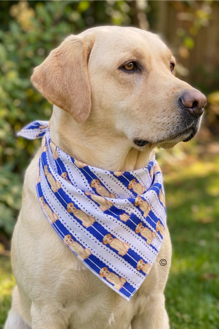 SC - All American Charlie Bandana© - Glamourous Grace