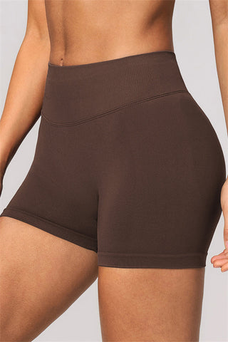 The Velvetine Sports Bra Shorts 2-Piece Set