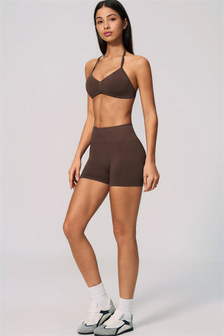 The Velvetine Sports Bra Shorts 2-Piece Set