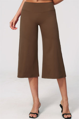 The Natalia Half-Sleeve Top Wide-Leg Crop 2-Piece Set