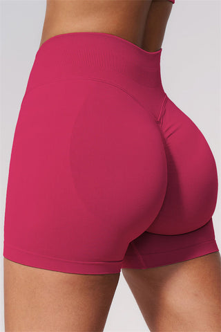 The Allure Sports Bra Shorts 2-Piece Set