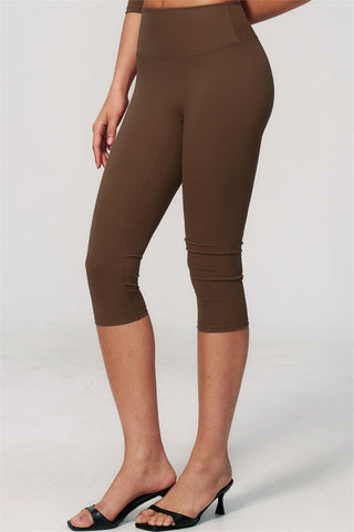 The Natalia Half-Sleeve Top Capri Leggings 2-Piece Set