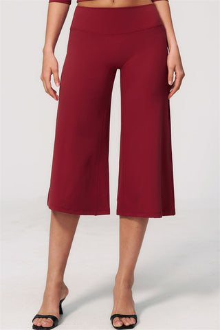 The Natalia Half-Sleeve Top Wide-Leg Crop 2-Piece Set