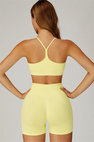 The Sculpt Sports Bra