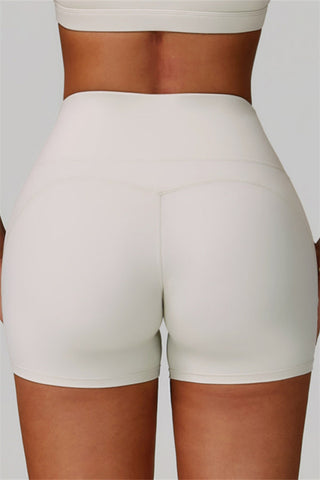 The Bold Shorts