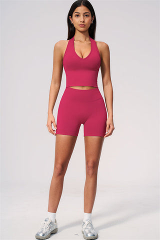 The New Delight Halter Top