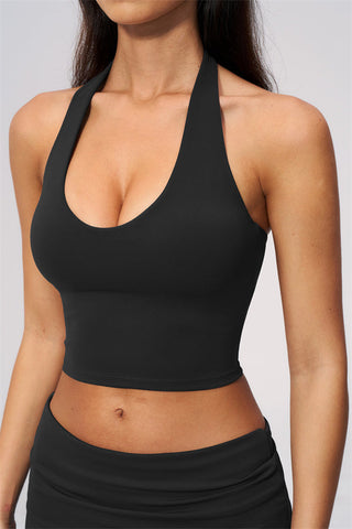 The Twirl Wide Strap Halter Crop Top