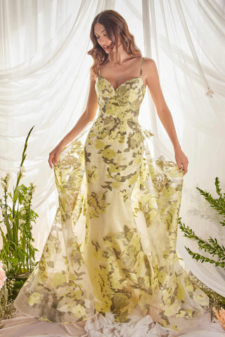 Glamourous Grace