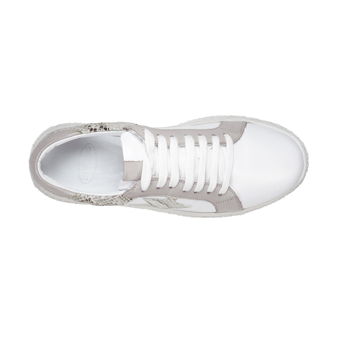 Charlee White Snake Skin Two-Tone Star Motif Lace Up Sneakers - Glamourous Grace
