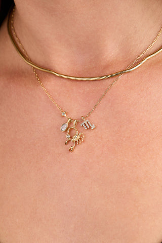 Scorpio Zodiac Charm Cluster Necklace