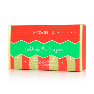 Celebrate the Season | Holiday Ornament Gift Set - Glamourous Grace