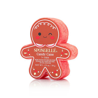 Candy Cane | Holiday Gingerbread - Glamourous Grace