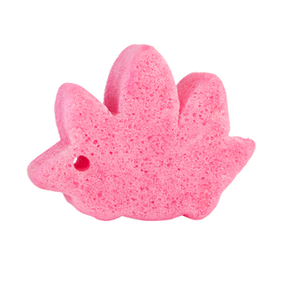 Sally Stegosaurus | Spongeasaurus Dinosaur Buffer - Glamourous Grace