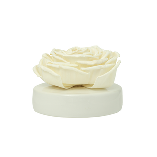 Floret Replacement - Glamourous Grace