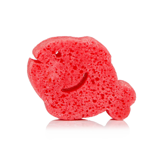 Fiona Fish | Sea Animals - Glamourous Grace