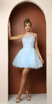 Ice Blue