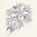 Clear, Silver