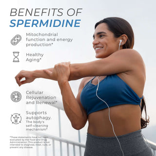Spermidine Drops