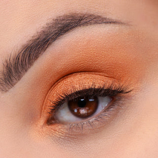 Signature Palette - Getaway