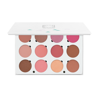 Pro Palette - Blush