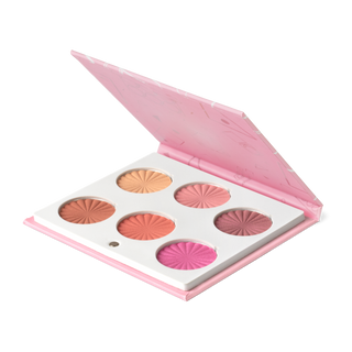 Mini Mix Face Palette - Blushful