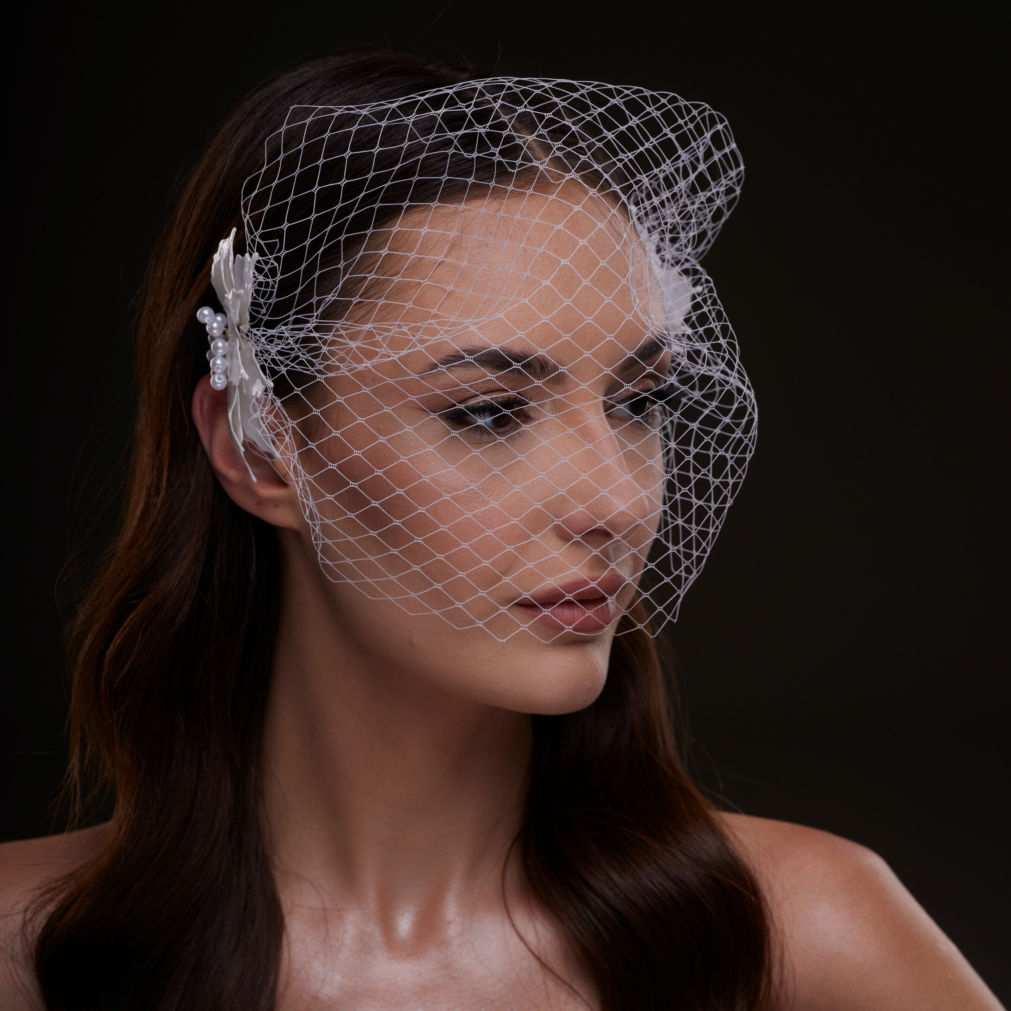 Bridal Birdcage Veil with Pearl & Leaf Side Comb - Glamourous Grace