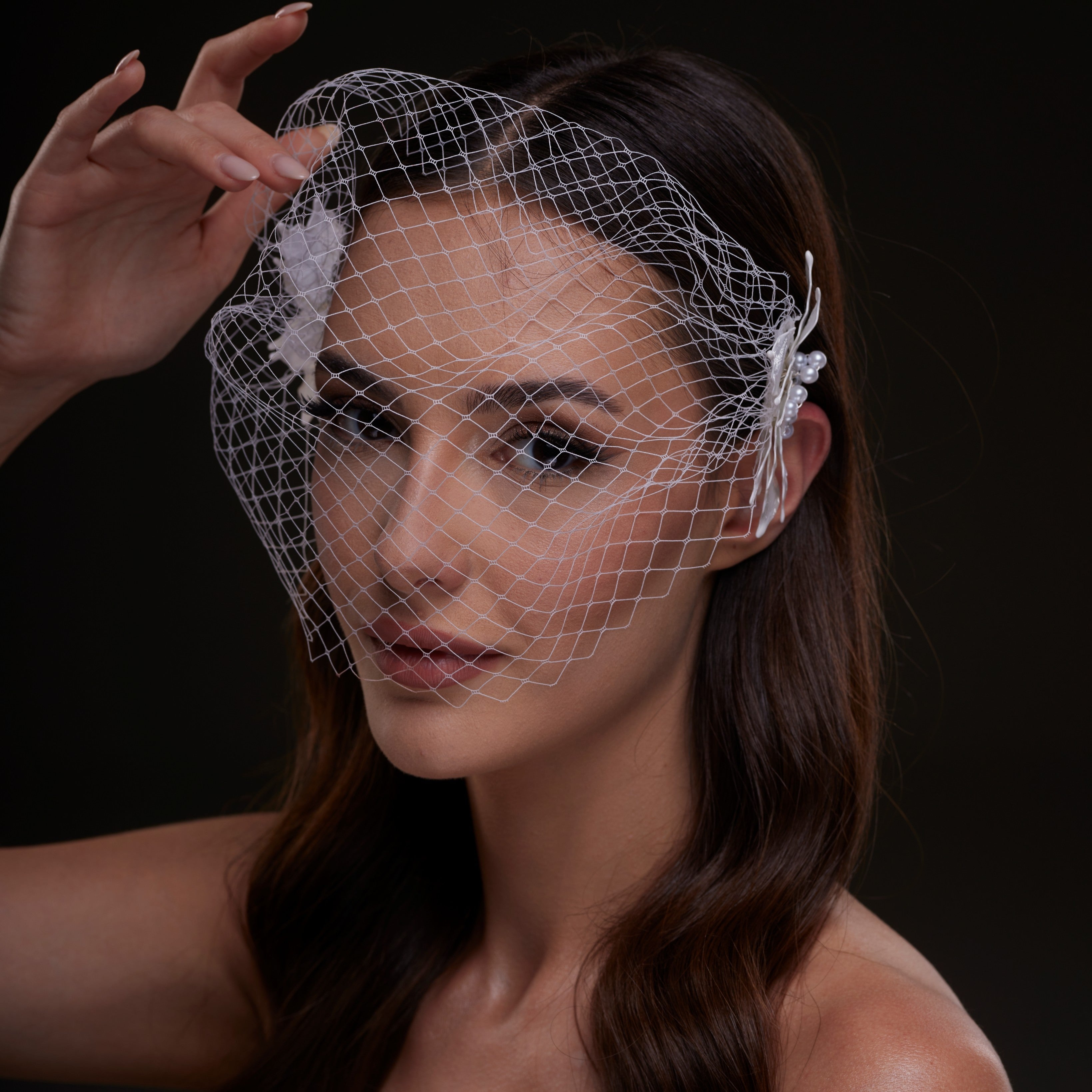 Bridal Birdcage Veil with Pearl & Leaf Side Comb - Glamourous Grace