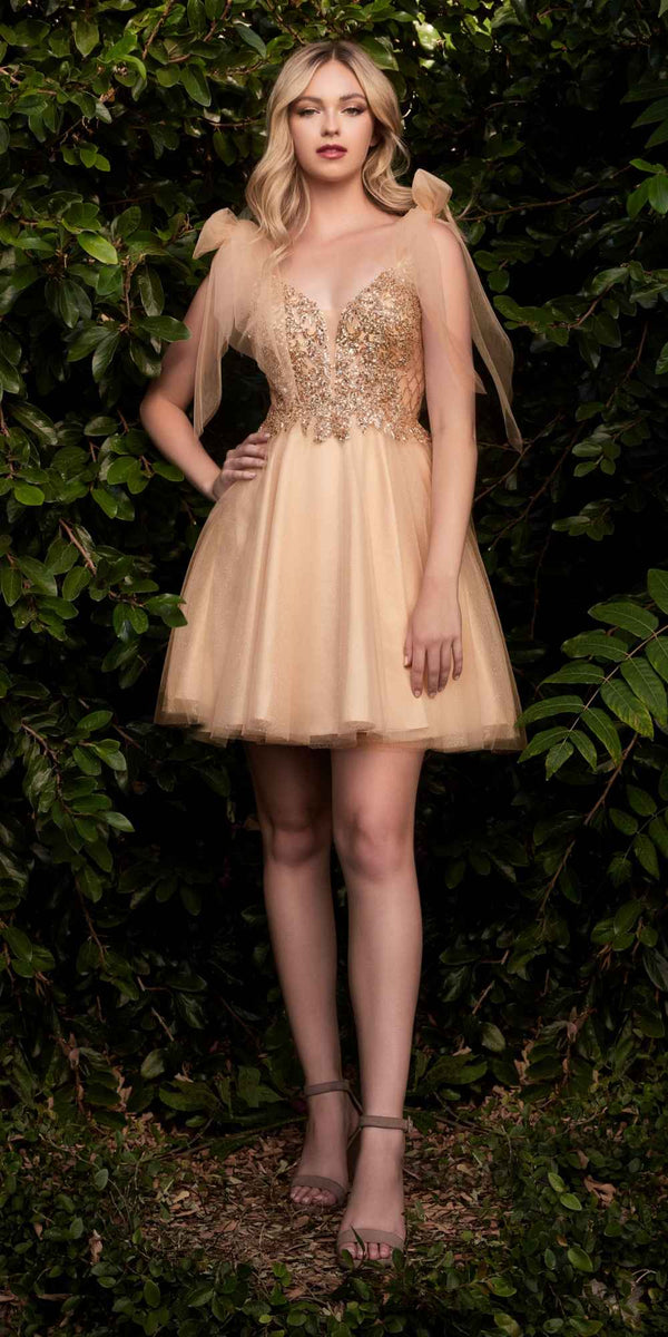 Cinderella Divine CD0174 Short A-Line Dress Lace Applique Tulle Ribbon - Glamourous Grace