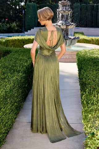 Ladivine CD413 Ethereal Shimmering Pleated Chiffon A-Line Gown