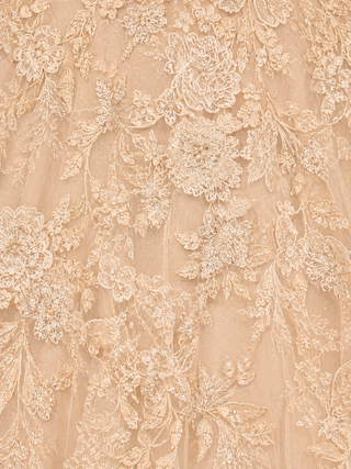 Lace Ballgown with Long Sleeves